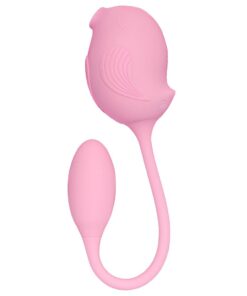  iDesire Sex Shop Goiânia