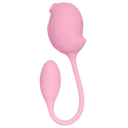  iDesire Sex Shop Goiânia