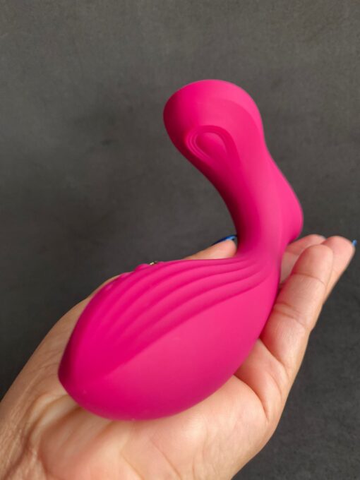  iDesire Sex Shop Goiânia