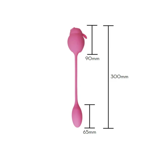  iDesire Sex Shop Goiânia